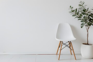 Minimalist Interior with a White Chair and Potted Plant