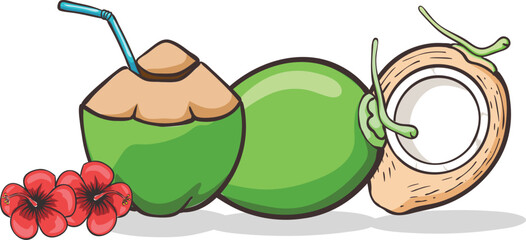 Green coconut tropical fruit with hibiscus flower. Fresh coco water drink cocktail. Whole and half coconut isolated on transparent background.