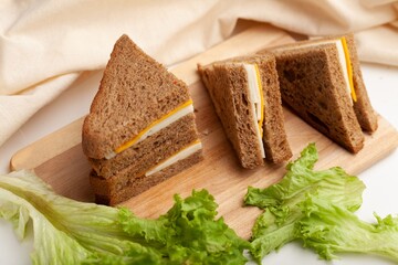Delicious fresh Sandwich with Cheese and salad
