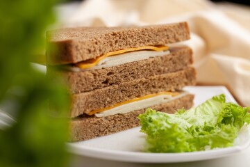 Delicious fresh Sandwich with Cheese and salad