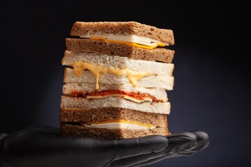 Tasty fresh sandwich dish with vegetables and meat on hand