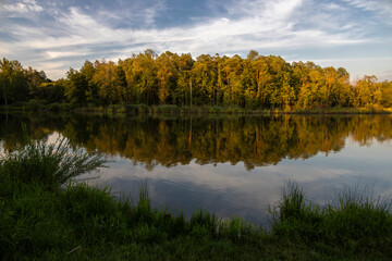 Fototapeta premium Light of the golden hour over the pond