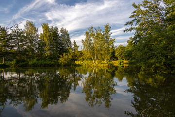 Light of the golden hour over the pond