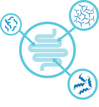 Icone Probiotici Intestino transito intestinale