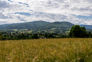 View across the meadow toward the mountains on the horizon under a cloudy sky