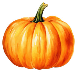 Obraz premium PNG Vegetable pumpkin squash plant.