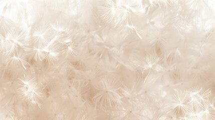 Dandelion fluff background for aesthetic minimalism style background. Beige, neutral and pastel color wallpaper with elegant and light flying fluffs. Fragile and lightweight