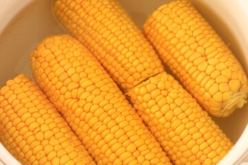 A close-up shot of yellow cobs of corn boiled in water in a pot.
