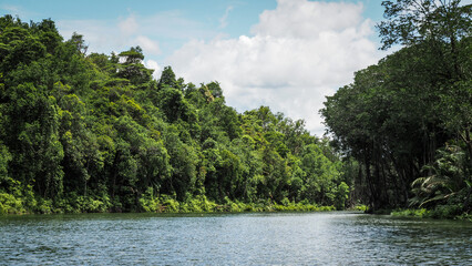 The landscape of Brunei Darussalam 