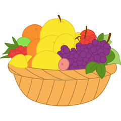 Fruit In the Basket Illustration