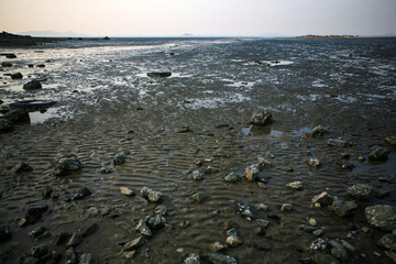 View of the wetland at the seaside in late afternoon