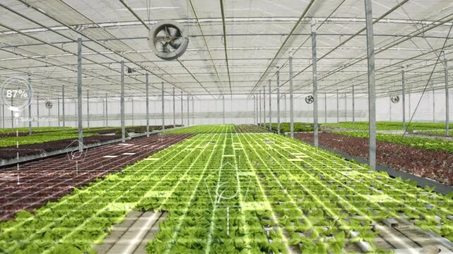 Drone shot of high tech agricultural greenhouse controlled by automatized technology parameters, AR visualization. AR hologram statistics over certified organic eco friendly farm crops
