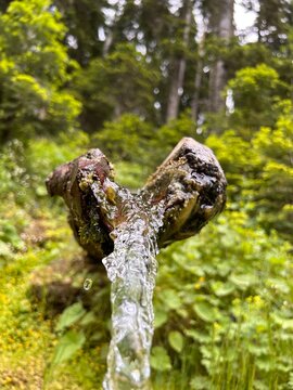 Stream in nature.