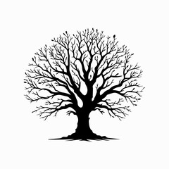 Fototapeta premium Botanic tree vector