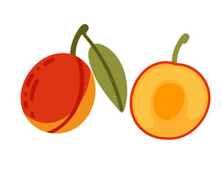 Set of apricots, whole with green leaves and halved. Vibrant orange color and pit. Ideal for summer fruit content, recipes. Vector illustration isolated on white background