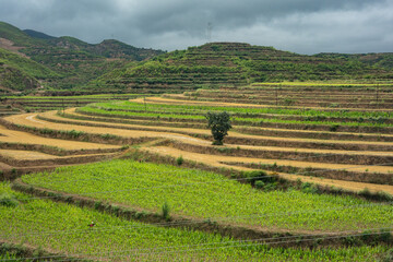 Rural grassland scenery of Taiyuan, Shanxi, with blue sky, white clouds, and fields