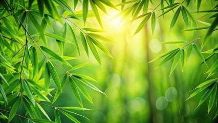 Fototapeta premium Green bamboo leaves creating a lush background, bamboo, leaves, green, nature, background, lush, tropical, botanical, foliage