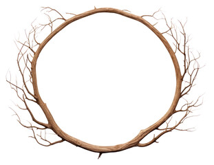 PNG  Tree branch circle wood white background.