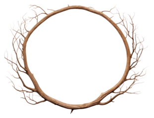PNG  Tree branch circle wood white background.