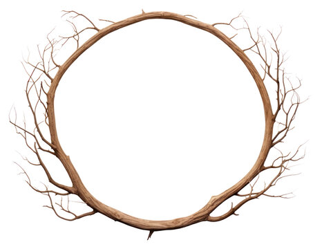 PNG  Tree branch circle wood white background.