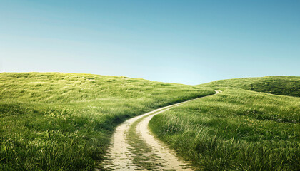 Fototapeta premium The Path to Business Success Meadow as a Goal on Solid Ground Business success way to goals