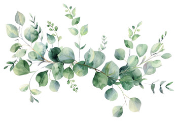 PNG Eucalyptus floral wreath illustrated graphics drawing. © Rawpixel.com