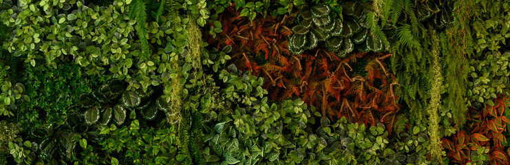 Leaf wall, plant wall, natural green wallpaper and background, nature wall, green forest nature background.