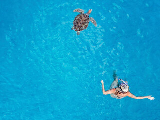 Aerial view of woman snorkeling with turtle in clear Caribbean sea, Westpunt, Curacao.