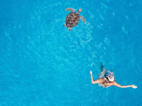 Aerial view of woman snorkeling with turtle in clear Caribbean sea, Westpunt, Curacao.