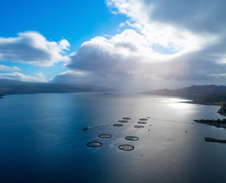 Aerial view of tranquil Loch Fyne with Meall Mhor Salmon Farm and majestic mountains, Tarbert, Scotland.
