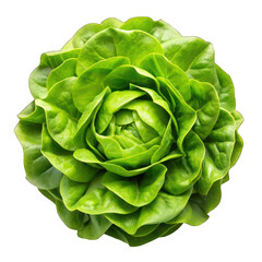 Obraz premium Fresh head round lettuce top view isolated on transparent background