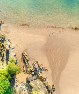 Aerial view of tranquil Mill Bay cove with seagulls, Salcombe, England.
