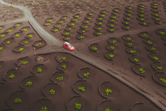 Aerial view of unique vineyard cultivation in La Geria, Lanzarote, Canary Islands, Spain.