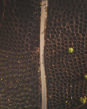 Aerial view of volcanic vineyard landscape with winding road and circular patterns, La Geria, Lanzarote, Canary Islands, Spain.