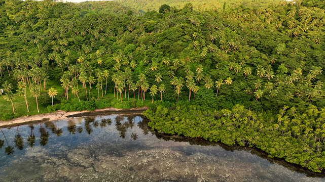 Aerial view of lush tropical island with pristine coastline and crystal clear waters, Northern, Fiji.