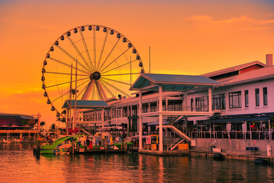 Skyviews Miami Bayside Observation Wheel, ferris wheel