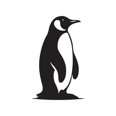 Fototapeta premium penguin vector