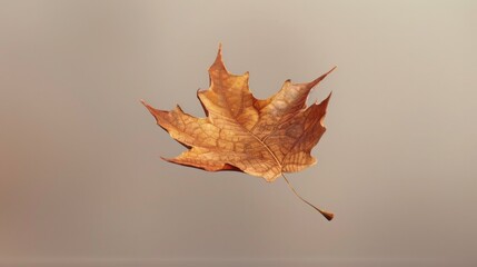 A maple leaf falling gracefully through the air, captured in a photorealistic style that emphasizes its motion and weightlessness.