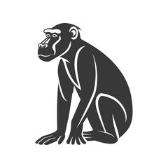 Obraz premium minimalist line art icon baboon animal logo symbol