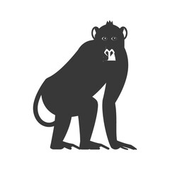 Obraz premium minimalist line art icon baboon animal logo symbol