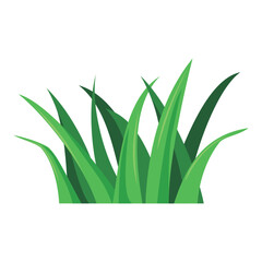 colorful grass illustration design. green plant sign and symbol.