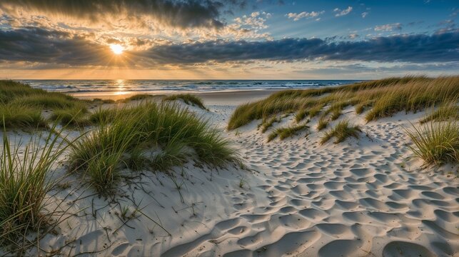 Golden Hour on Coastal Sand Dunes: Serene Seascape, Nature's Beauty, Sunset Beach, Tranquil Landscape, Scenic Horizon