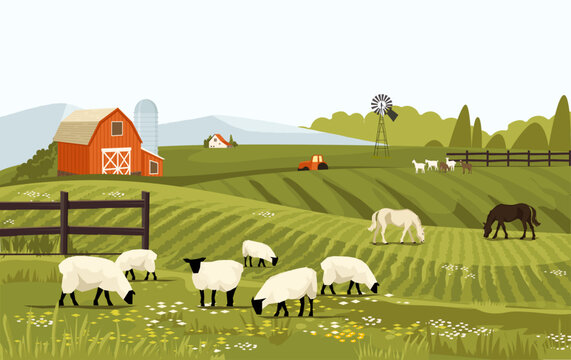 Rural spring landscape countryside with farm field with green grass, flowers, trees. Farmland with house and windmill. With farm animals horse and sheep. Outdoor village scenery. Vector background