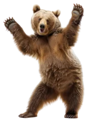 Fototapete PNG Happy smiling dancing brizzly bear wildlife animal mammal. © Rawpixel.com
