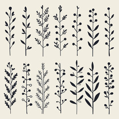Hand drawn floral elements. Botanical illustration vector set. Simple minimalist plant symbols 