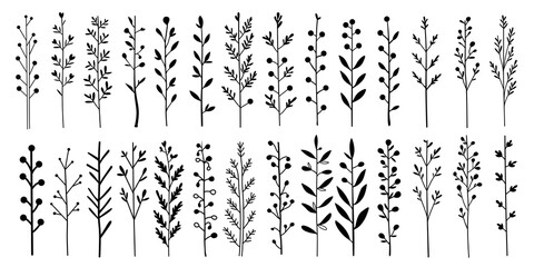 Hand drawn floral elements. Botanical illustration vector set. Simple minimalist plant symbols 