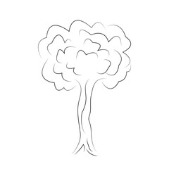 Hand draw illustration coloring book tree isolated on white background