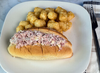 spam salad  sub  with tater tots