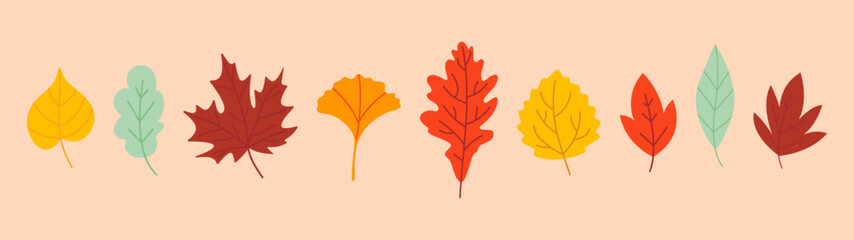 Set of  autumn leaves. Simple leaf set. Autumn set of hand drawn cute and cozy design elements. Fall, Thanksgiving Day, Autumn season.