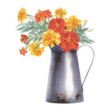 marigolds in metal pitcher watercolor clip art preview